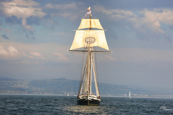 tallshipps-33