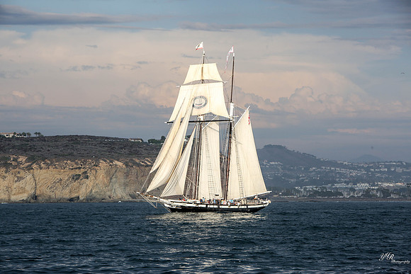 tallshipps-34