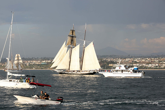tallshipps-36