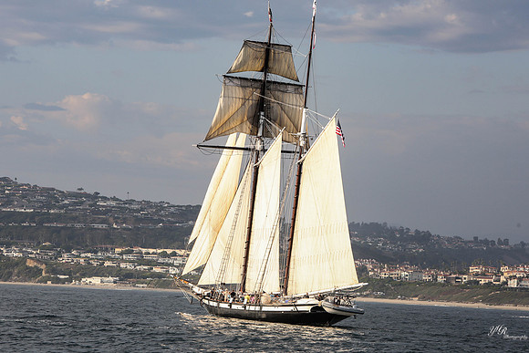 tallshipps-37