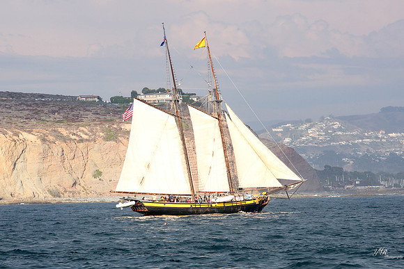 tallshipps-38