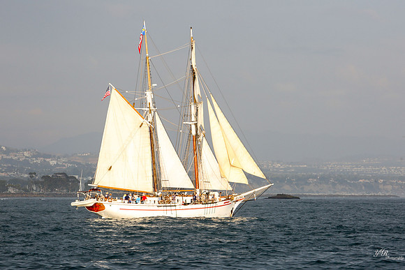 tallshipps-39