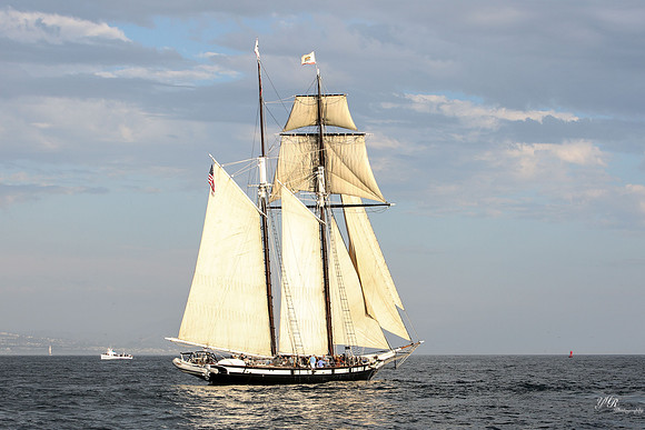 tallshipps-42