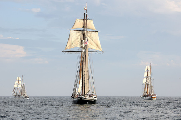 tallshipps-43