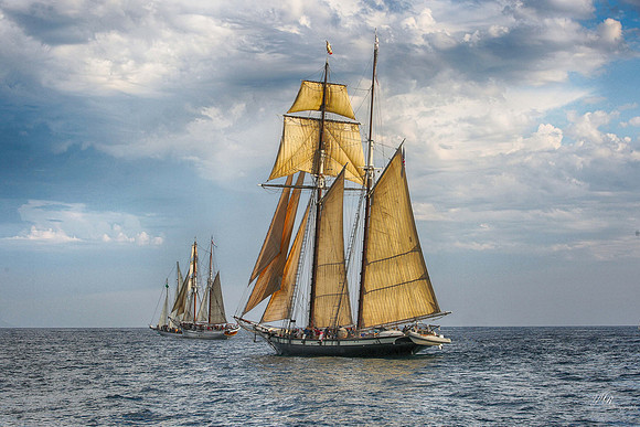tallshipps-44