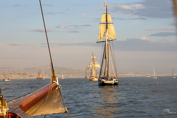 tallshipps-46