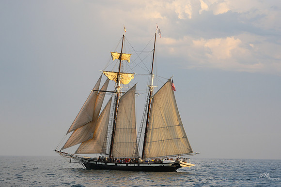 tallshipps-48