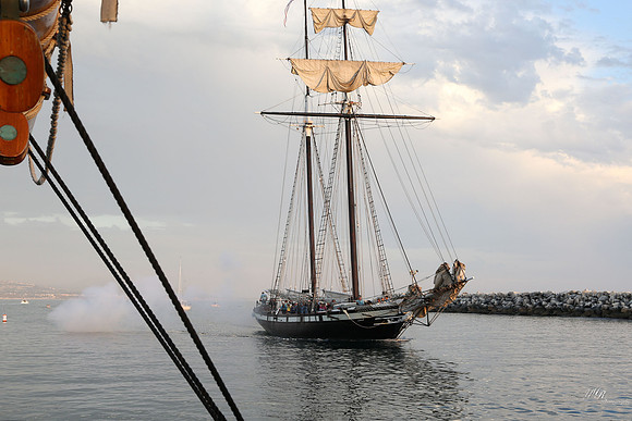 tallshipps-54