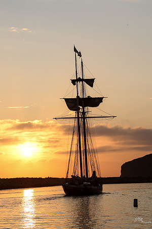 tallshipps-57