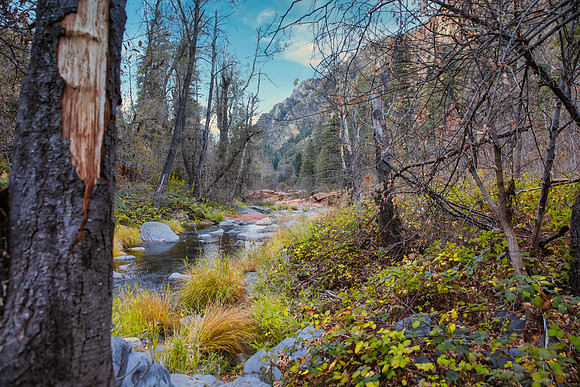 Hiking-176-5