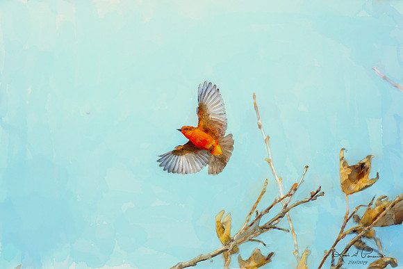 watercolorbird copy