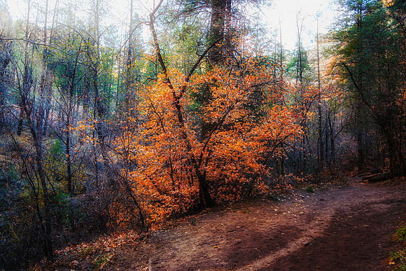 lastoffallsedona11