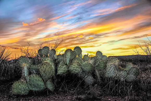 Sedona HDR-21