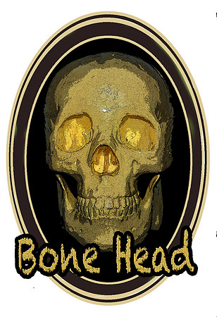 skulltshirtdesign copy