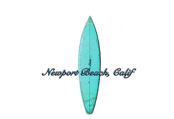 NewportTshirt copy