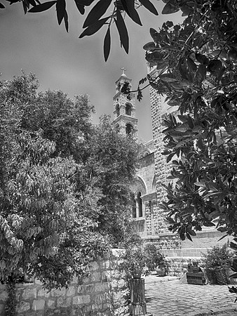 BW43web