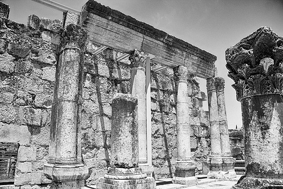 BW44web