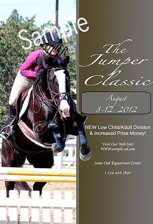 horse poster