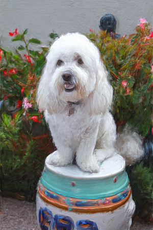 Dog Painting 2