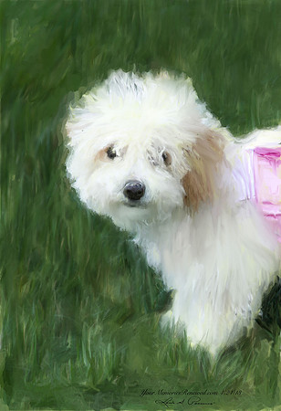 dogpainting