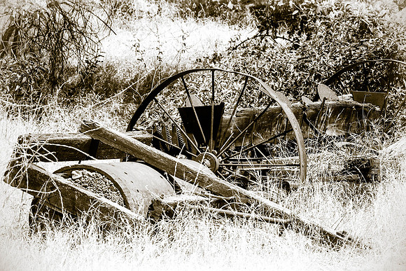 BWweb1